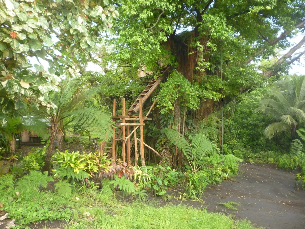 Castle Tree House