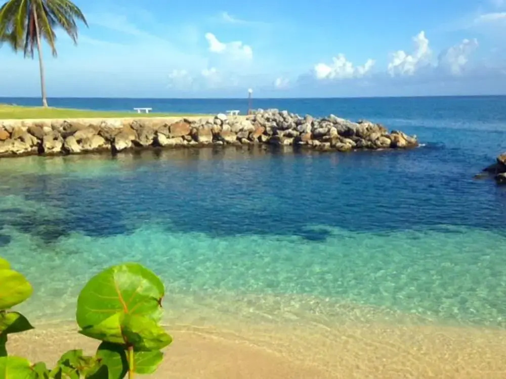 Coconuts Seafront 2BR, Ocho Rios