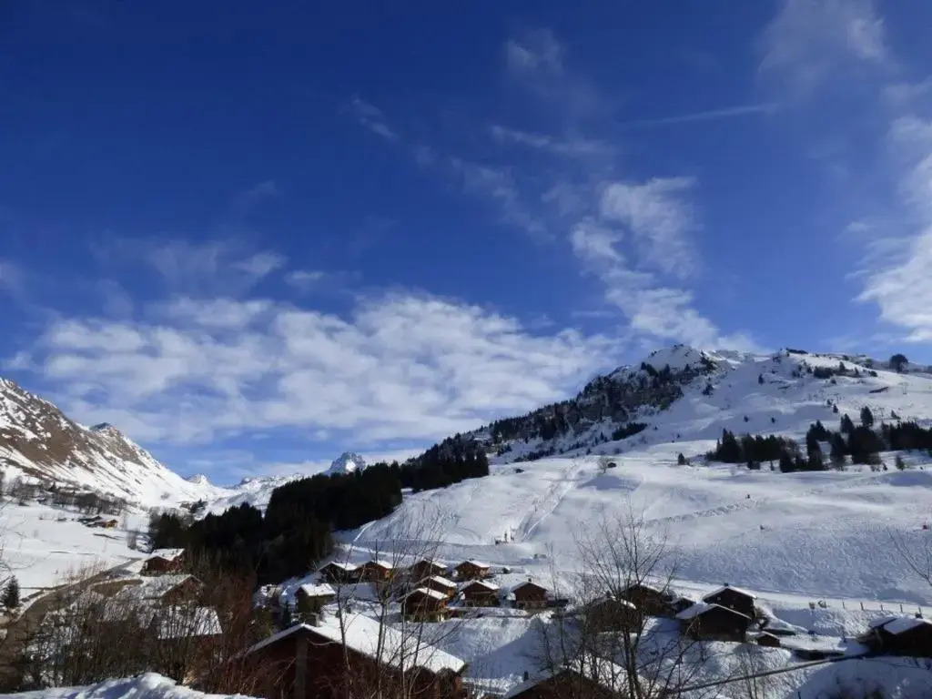 Studio Le Grand-Bornand, 1 pièce, 4 personnes - FR-1-458-114