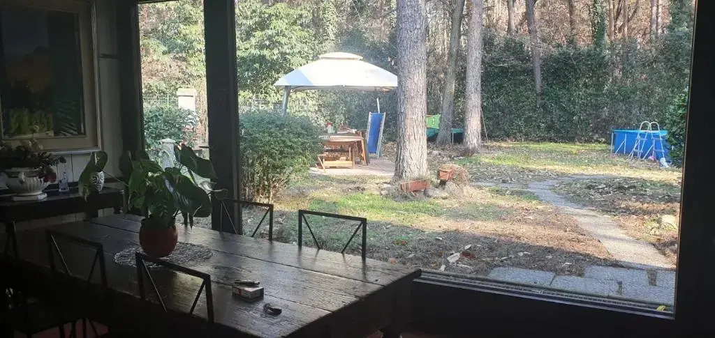 l'oasi nel bosco