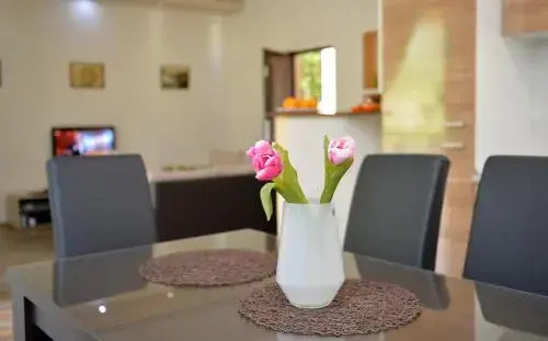Apartment Filuro
