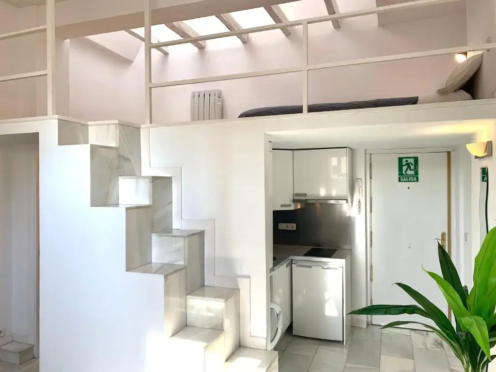 Apartamentos Puerta del Sol-Lofts Calle Ribera de Curtidores