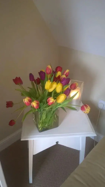 Rosebank B&B