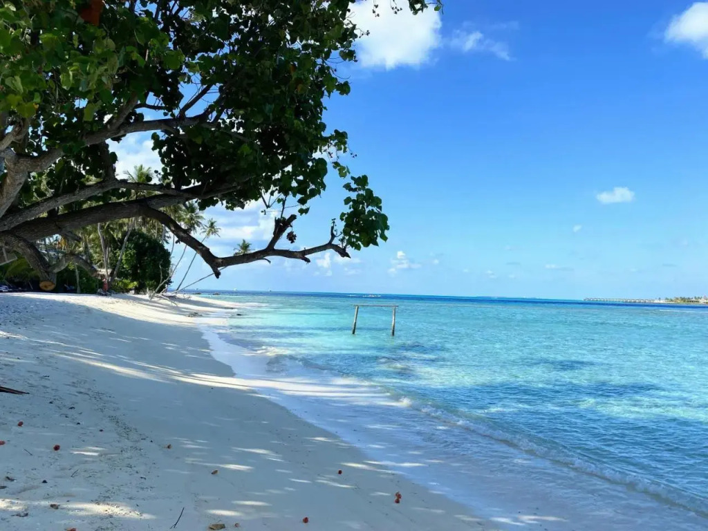Ocean Cottage Maldives