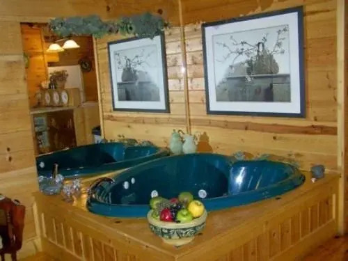 Mountain Shadow Resort