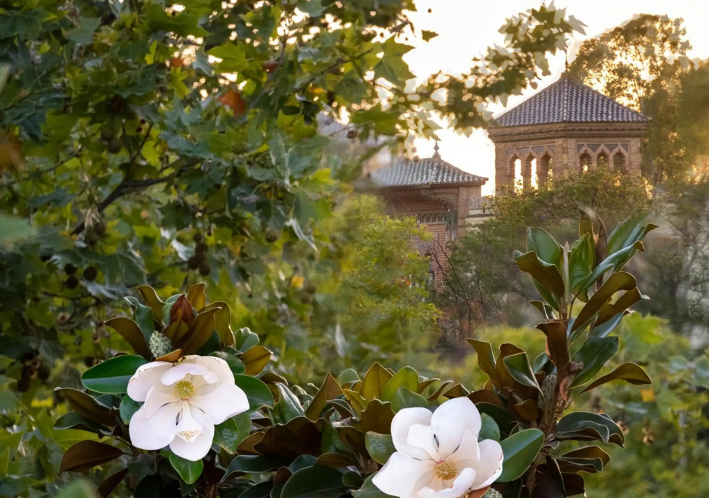 Villa Alfonso, Restored Palace House with gardens and Monuments Views