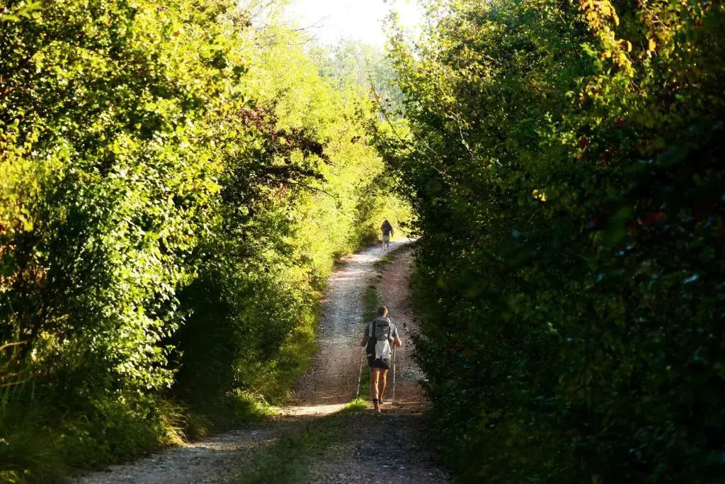 Fattoria L Aquilone