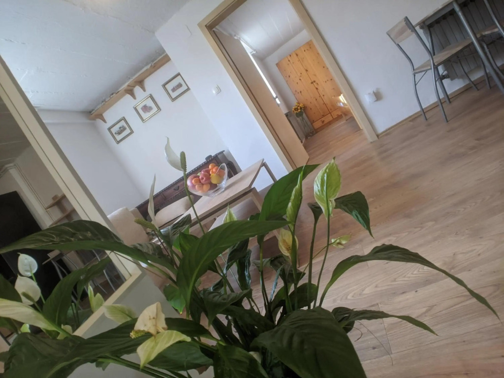 Discover Zagreb from 2BR Condo with Garden, Parking & EV Station