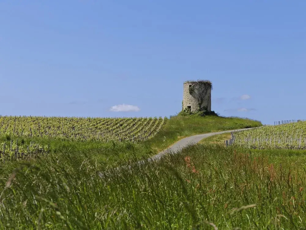 Domaine de Ludeye, Chambres dhôtes - Médoc