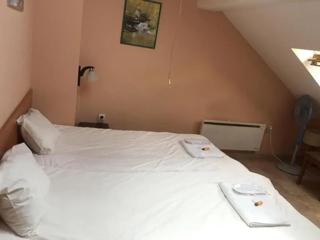 Vega Pension