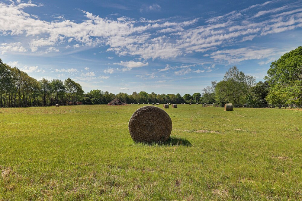 Spacious Retreat, 2 Miles to Tuskegee University