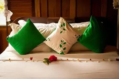 The Vine Retreat