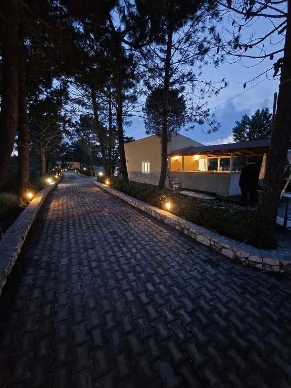Alexandra Apartment 9