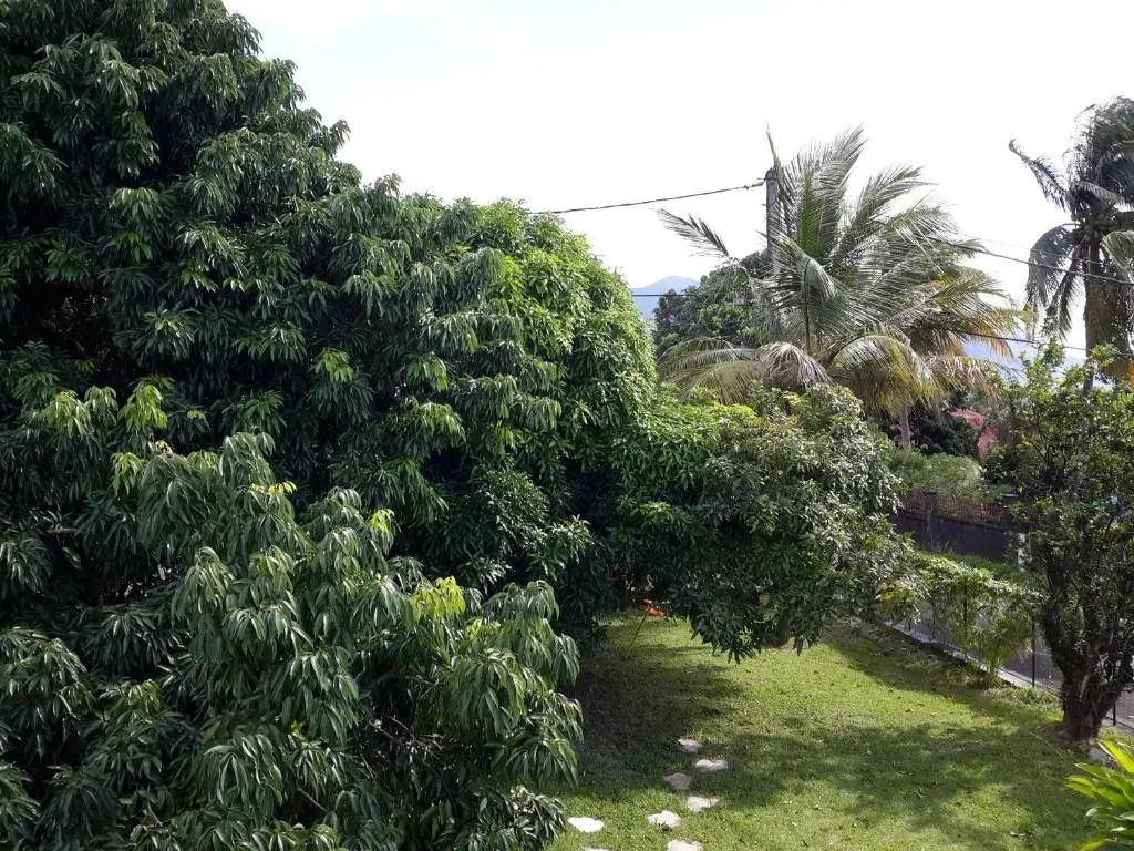 Appartement Les Bougainvilliers Vue Mer