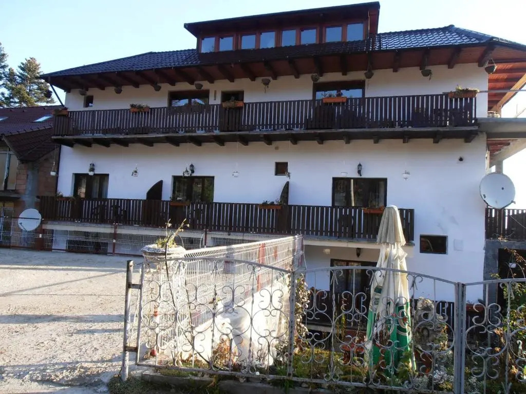 Pensiune turistica Milcov-VLADET