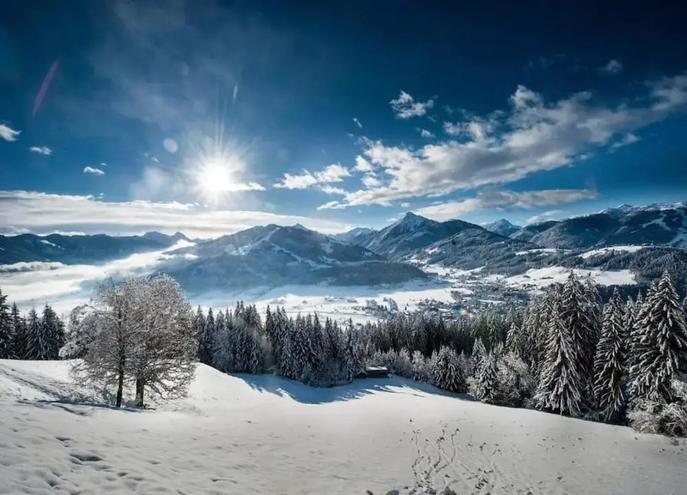 Lush Holiday Home in Hüttau near Ski Area