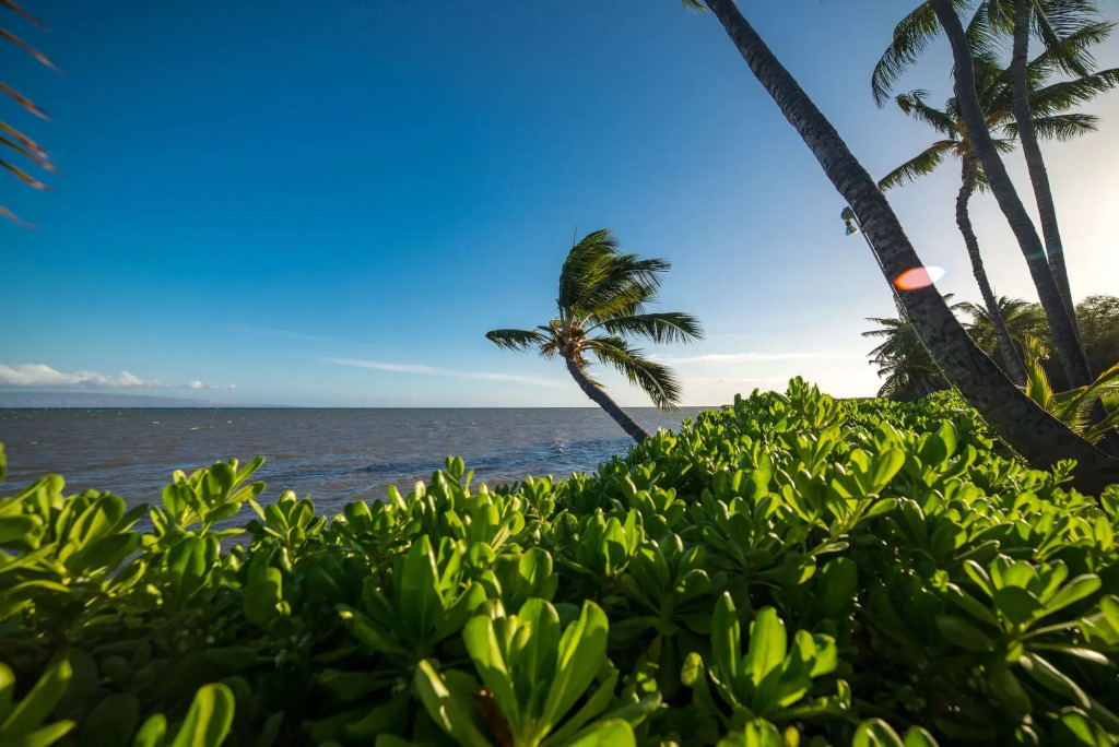 Hotel Moloka'i
