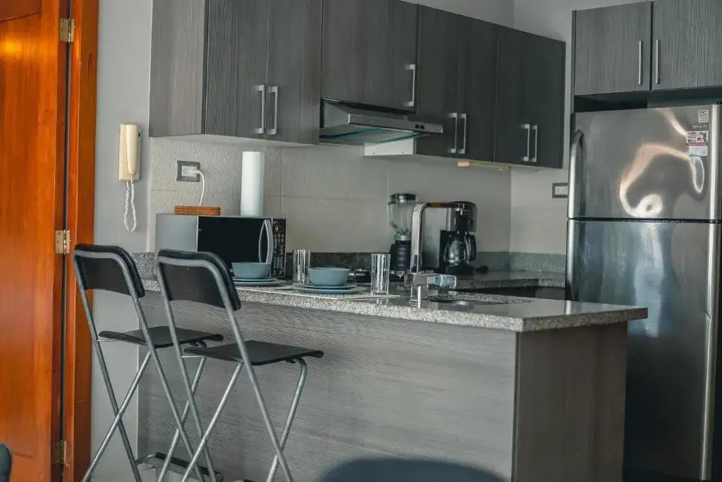 Armonia 408 Apartment In Gazcue
