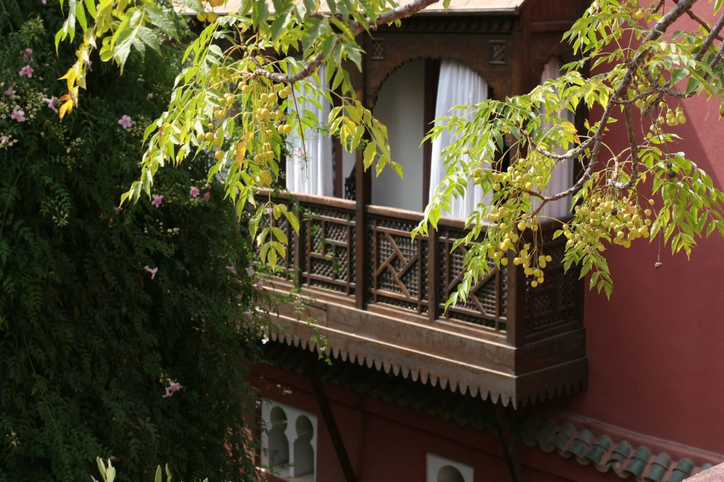 Riad Kaiss By Anika