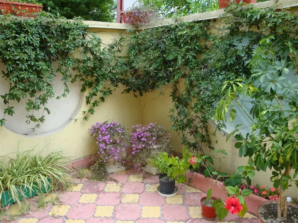 Stela Guest House