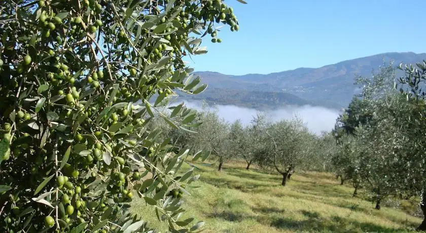 La Favilletta Casa Vacanze