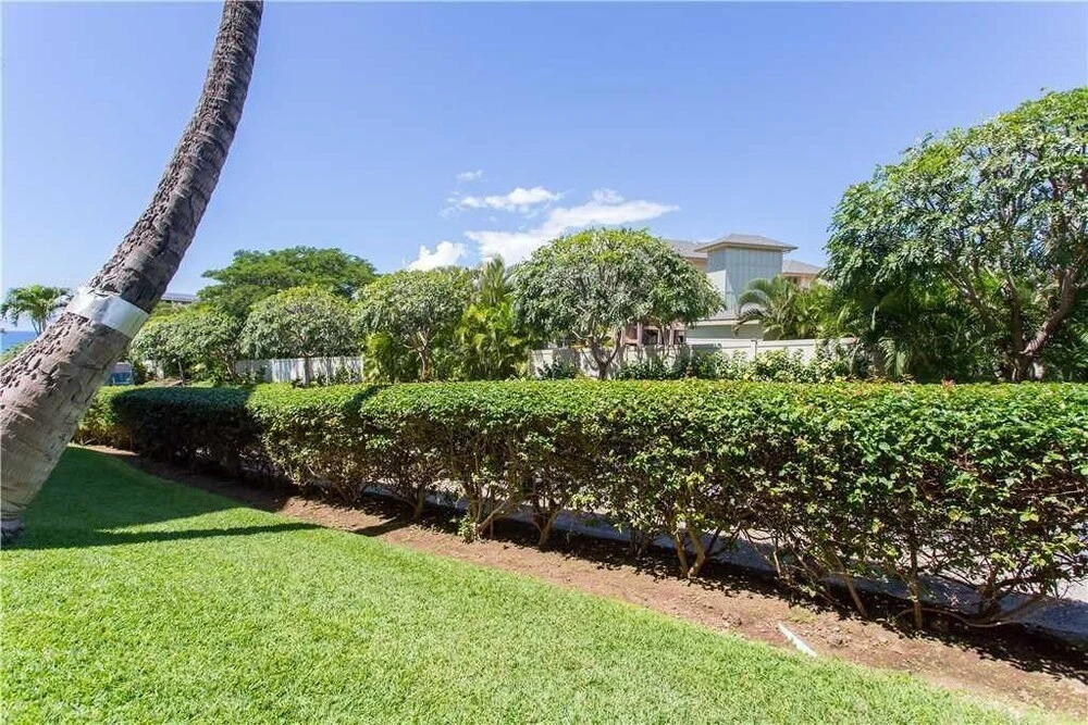 Kihei Alii Kai C104 - One Bedroom Condo