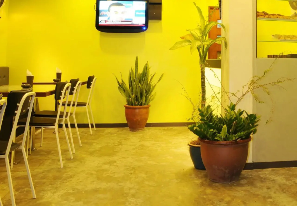 LVIS boutique