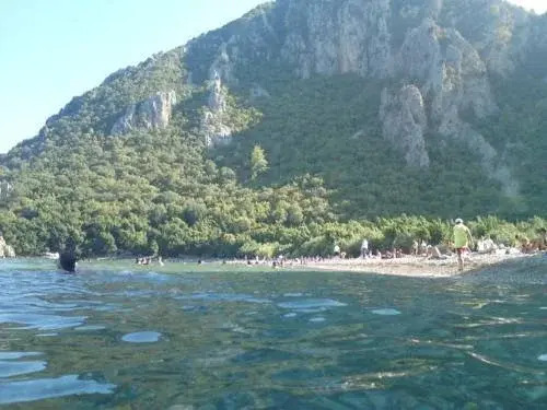 Acar Pension