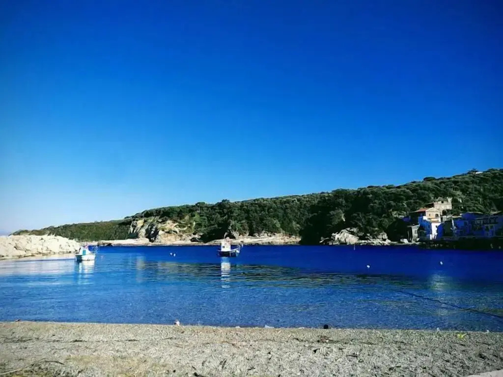 Hotel Dania