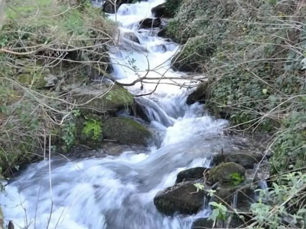 The Sandrock Lynton