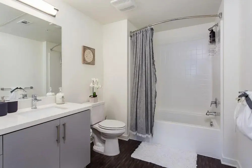 New Downtown LA Luxury Jr. Penthouse