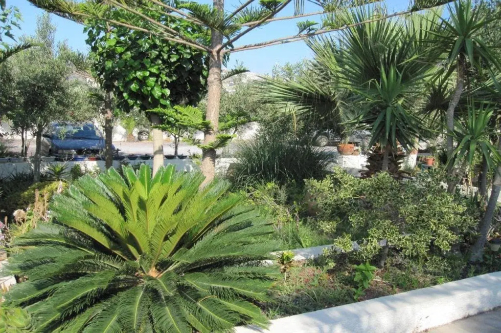 Villa Nikos