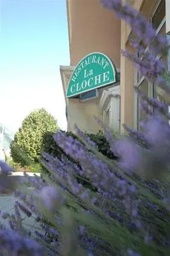Hotel Central