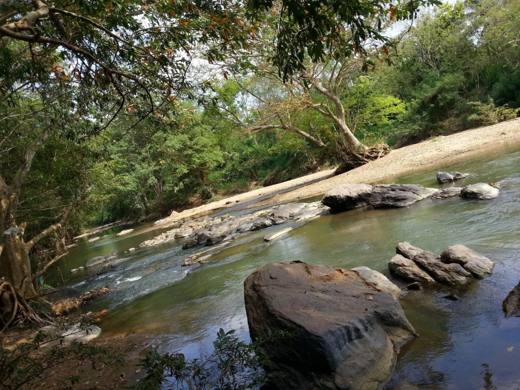 Athgira River Camp