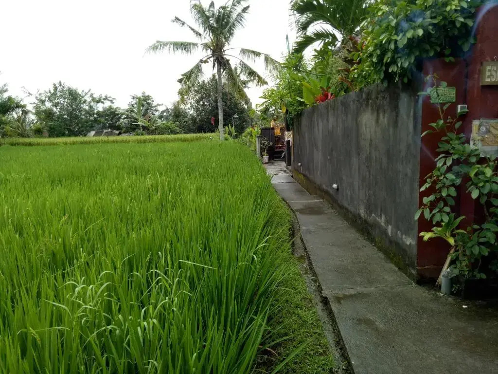 Villa Esa Ubud