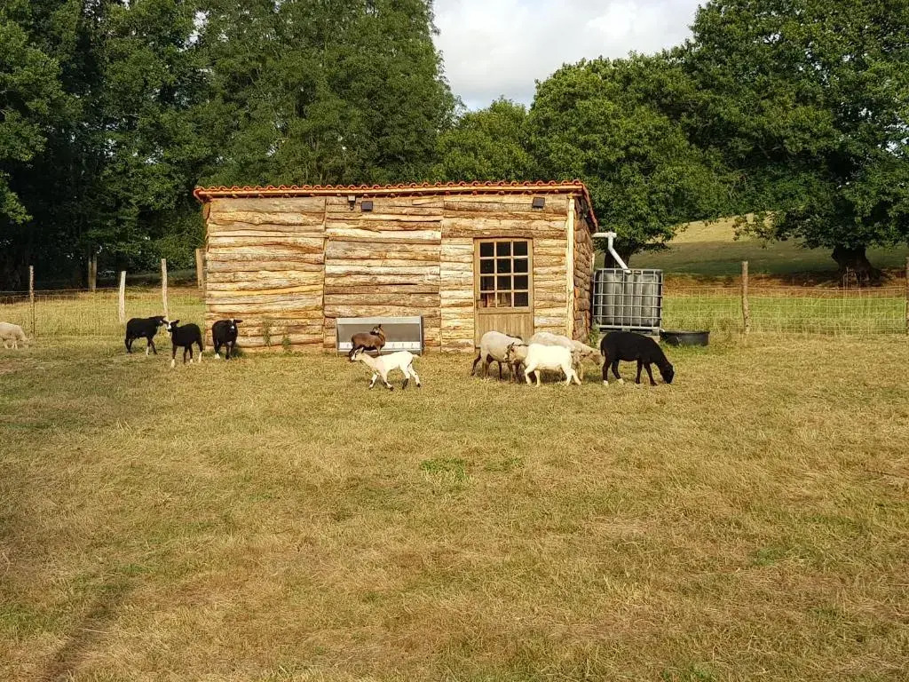 Gîte et Chambres dHôtes du Petit Moulin