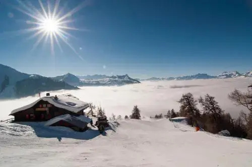 Chalet Cygnet