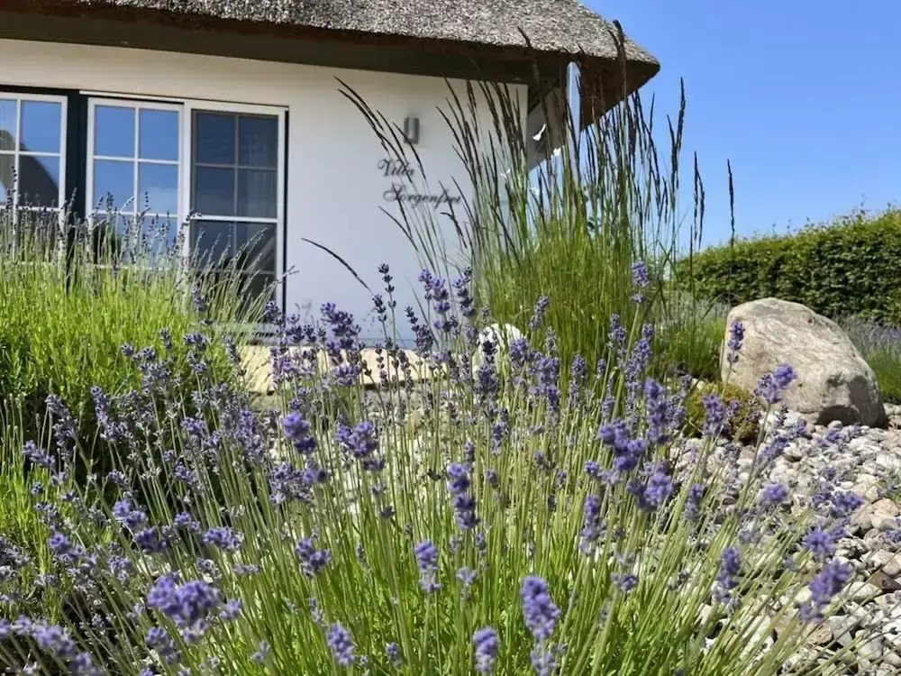 Villa Sorgenfrei" Comfortable holiday residence"
