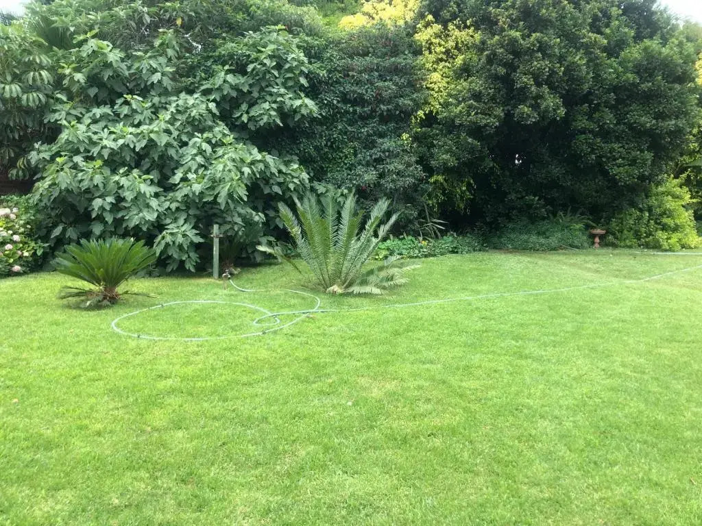 A boutique lodge situated in a serene environment - 2029