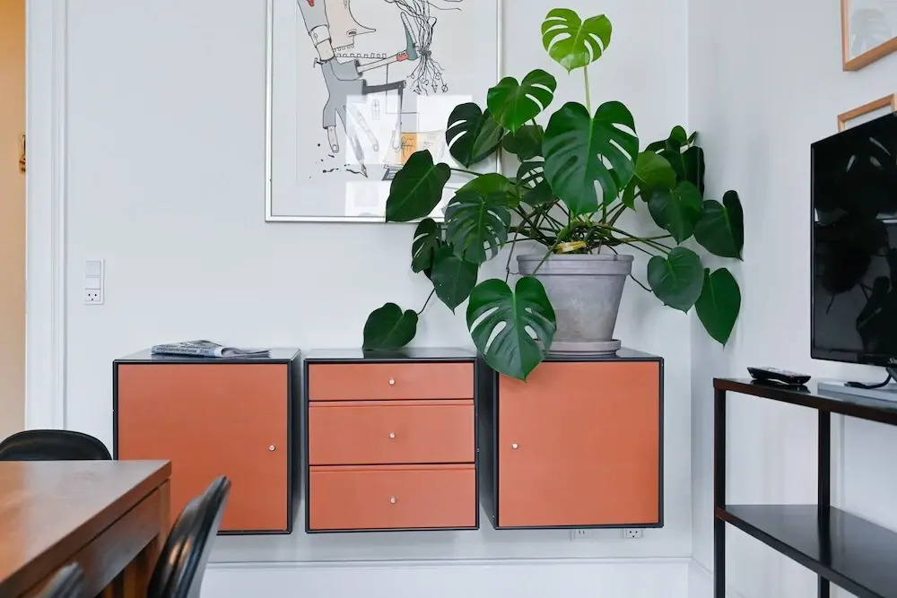 Beautiful 2-Bedroom Apartment with Designers Furniture in Downtown Copenhagen