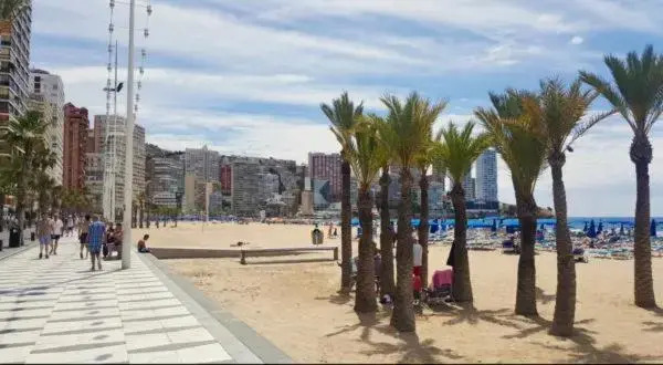 Domo Levante