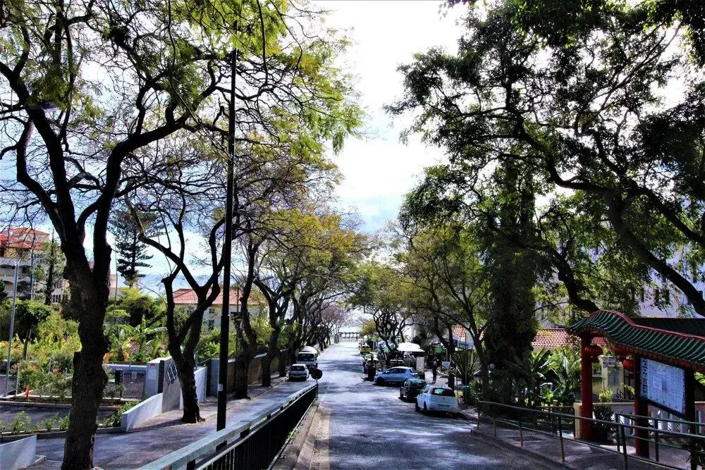 Funchal Lido Apartment Best Location
