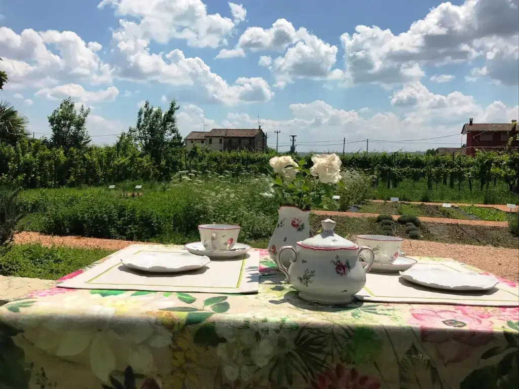 Fiori&vigne di Cecilia Marcon