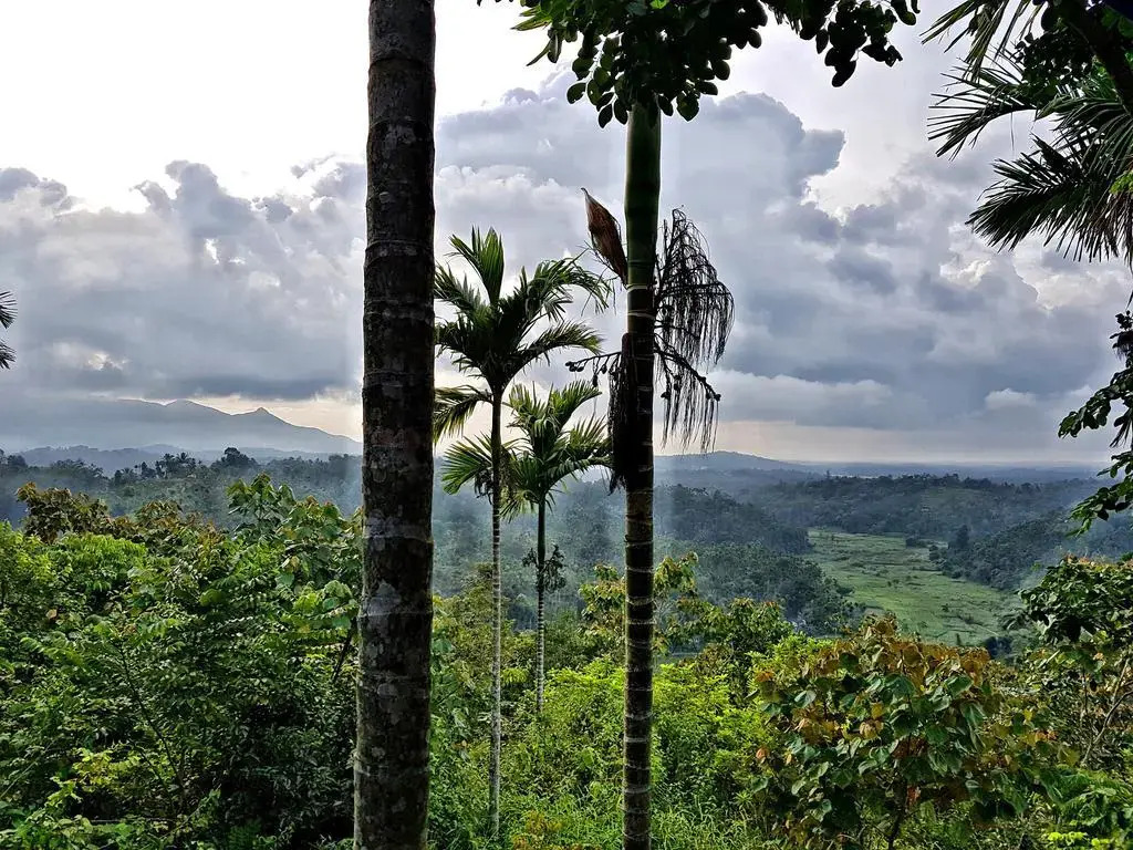 Bamboo Creek Resort