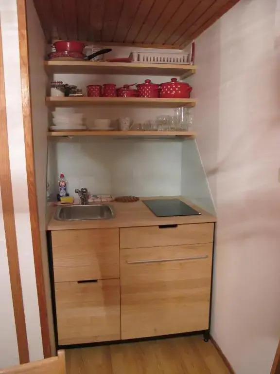 Apartment Zalokar