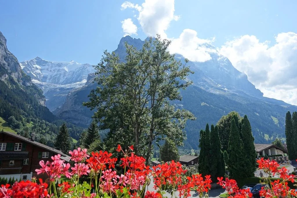 Chalet Wyssefluh