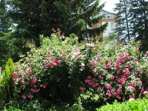 Villa Jordan