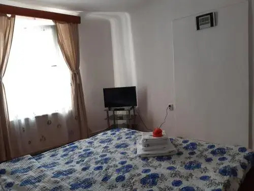 Casa Merisor