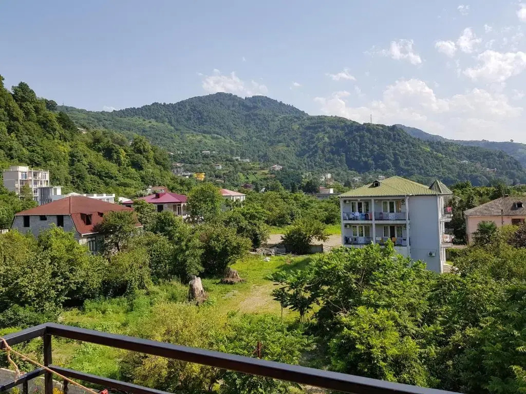 Vizitori Hotel