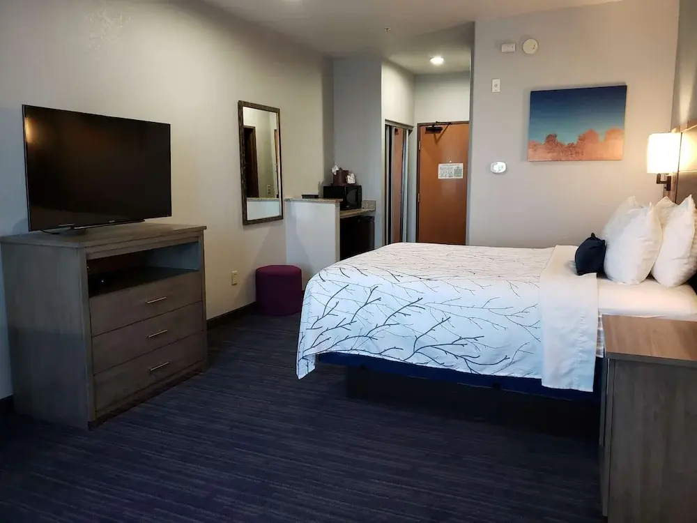 Best Western Plus San Antonio East Inn & Suites